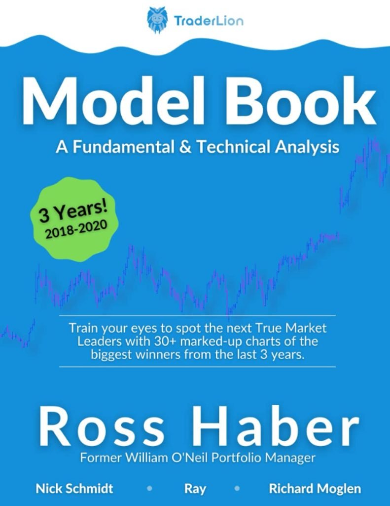Master Trading Insights: A Review of TraderLion Model Book